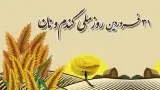 نانوایی آقای رهنما
