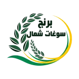 ارزان سرای برنج سوغات شمال