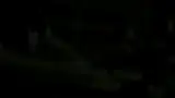 اموزشگاه موسیقی شاداب
