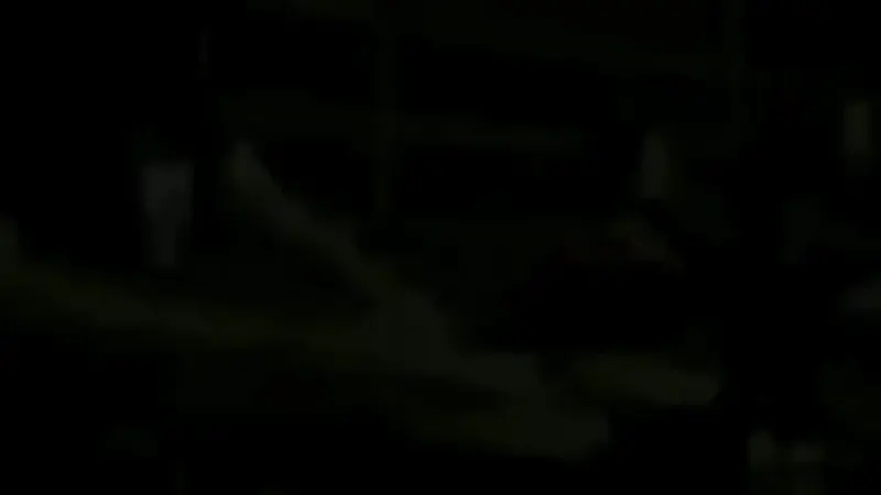 اموزشگاه موسیقی شاداب