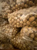 پخش گردو کسایی