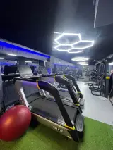 باشگاه بدنسازی بانوان لئو (پونک)
