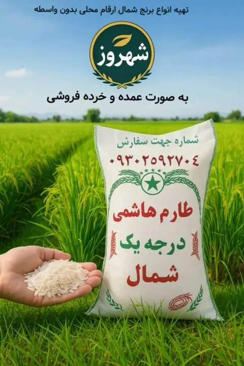 فروش برنج شهروز