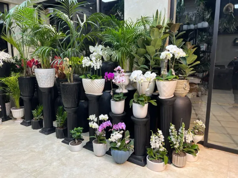 گالری گل روژانو