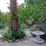باغ و آتلیه عکاسی ملکه سفید