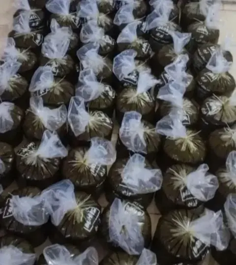 سبزی قورمه سرخ شده (مخصوص رستوران)خوش پز