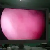 دکتر عبدالمجید قائدی زاده