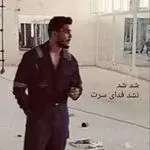 برقکاری نادری