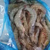میگو ماهی صادراتی غلامی