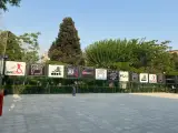 آکادمی و پیست اسکیت نیک