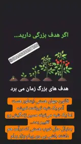 مدرس و محقق طب اسلامی و سنتی