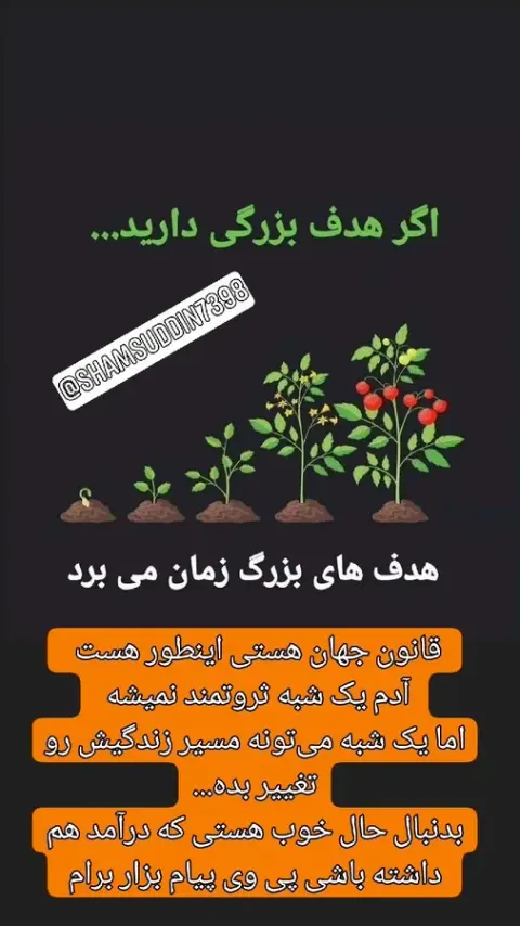 مدرس و محقق طب اسلامی و سنتی