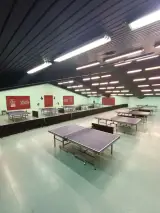 باشگاه پینگپنگ سبز