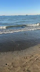 خدمات پست رها