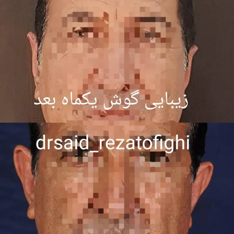 دکتر سعید رضاتوفیقی
