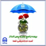 نمایندگی رسمی بیمه آسیا رازقی