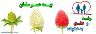 نماینده بیمه فردیس