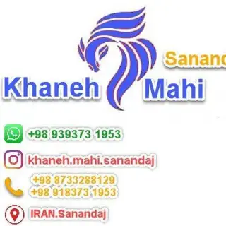 آکواریوم فروشی