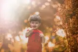 استودیو پرند