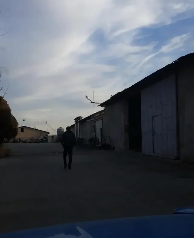 مرغ داری چیکا