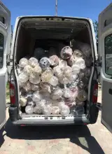 قالیشویی همشهری
