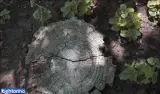 پارک شفق (بوستان شفق)