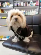 پت شاپ کلبه