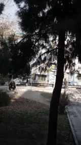پل عابر ویاده