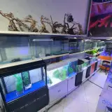 آکواریوم جزیره