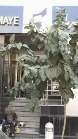 بانک شهر شعبه منطقه 3