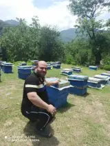 عسل شفا (محلاتی نجفی)
