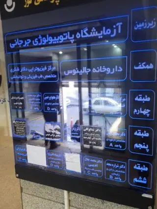 دکتر پژمان ملا خلیلی