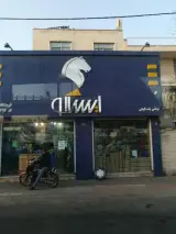 نمایندگی ۵۰۹۴ ایران خودرو