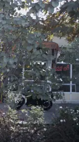 نان فانتزی گونای