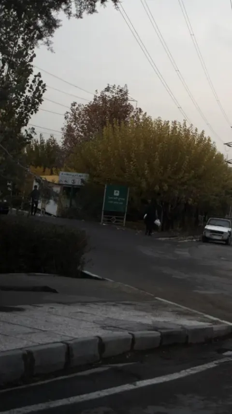پارک جنگلی کلبه صحرا