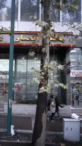 بانک توسعه صادرات ایران شعبه تجریش