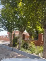 مرکز خدمات جامع سلامت امام جعفر صادق(ع) فیلستان
