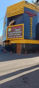 کلینیک حیوانات خانگی ارک