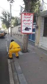 شرکت مهندسین طراح و مجری رایزن