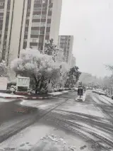 شهرک کوشک
