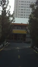 پل شهید عباسپور