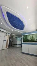 فیزیوتراپی وصال شرق