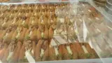 باقلوا استانبول امین شعبه ۲