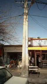 برنج و محصولات کشاورزی مدرس