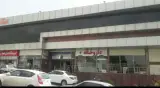 داروخانه دکتر مائده سجادی