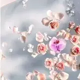 کاشی لوتوس