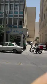 پرنده آبی شعبه فلسطین