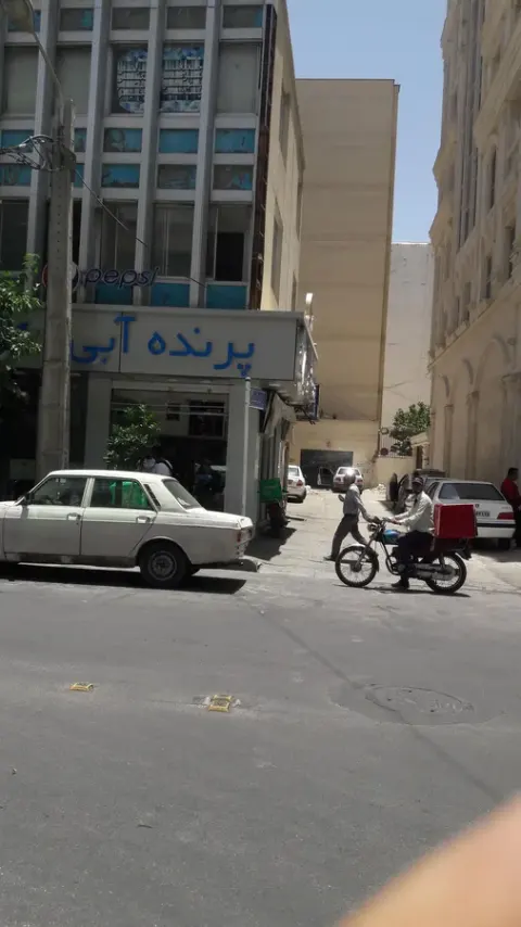 پرنده آبی شعبه فلسطین