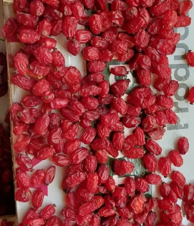 خشکبار لقائیان