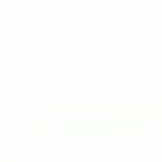 پیراشکی شهر